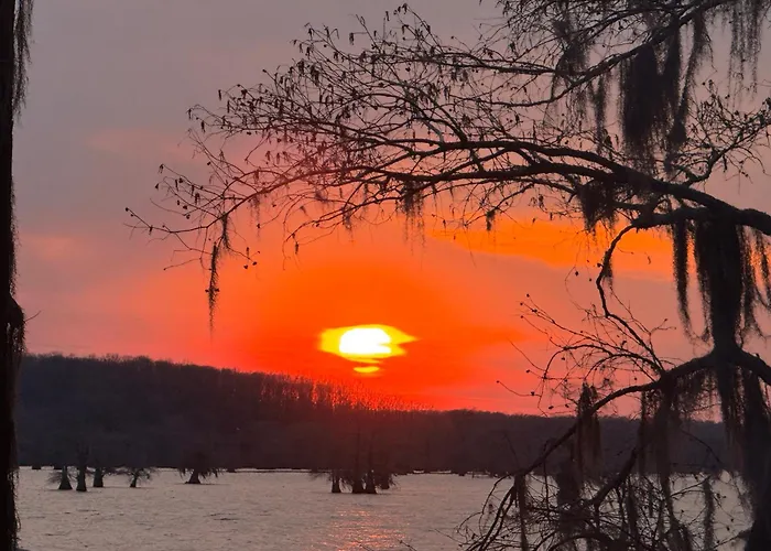 Canvasback Cove On Caddo Lake