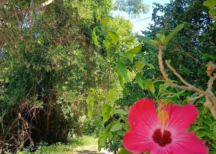 Espaço PurAMô Itaúnas