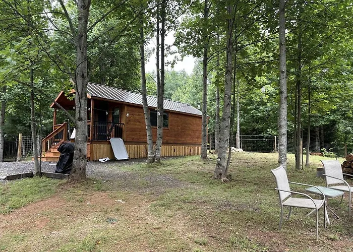Secluded Studio Cabin With Fenced Retreat Near Blue Ridge Parkway | Meadows Of Dan, Virginia