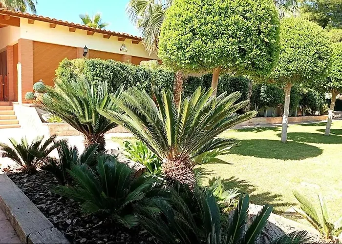 Elche Ideal Familias Wifi Aire Piscina Barbacoa