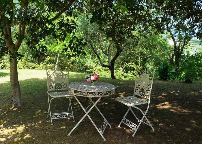 Casale 222