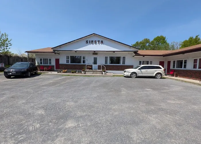 Siesta Roadside Inn & Suites Kingston
