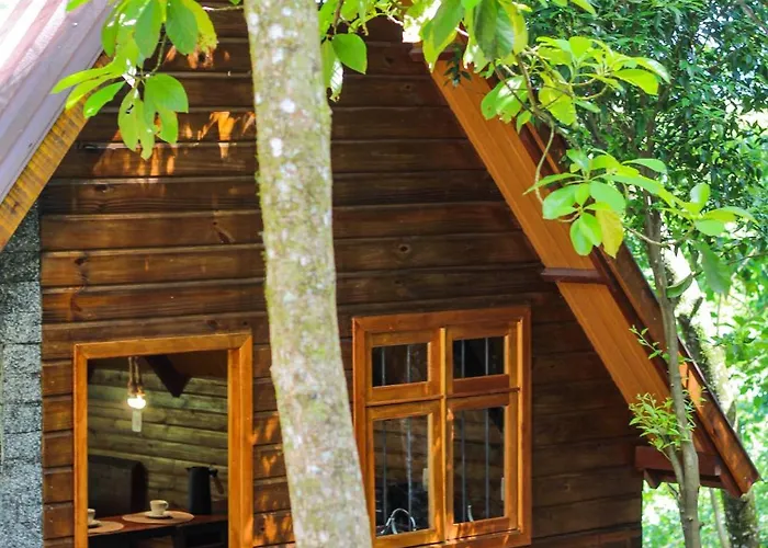 Cabanas do Bosque