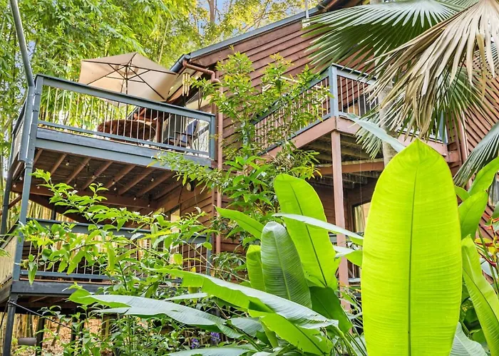 The Bamboo Base At Buderim