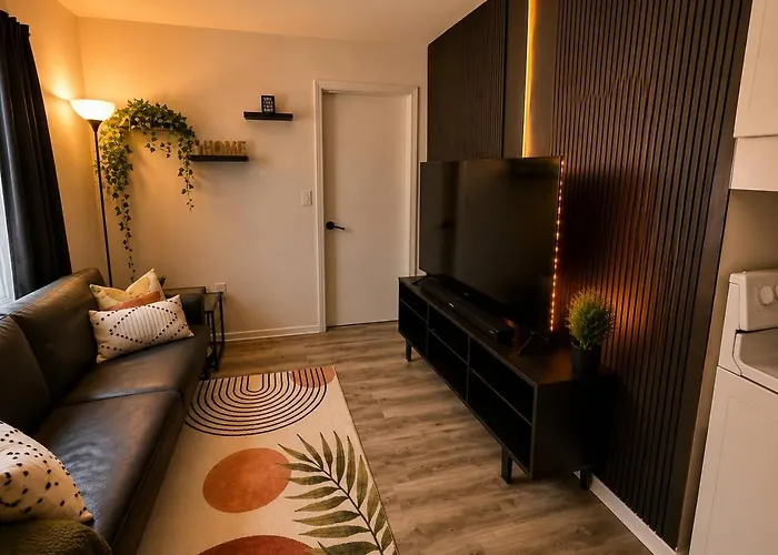Safari Stay 5 Mins To Anmed Elements Collection