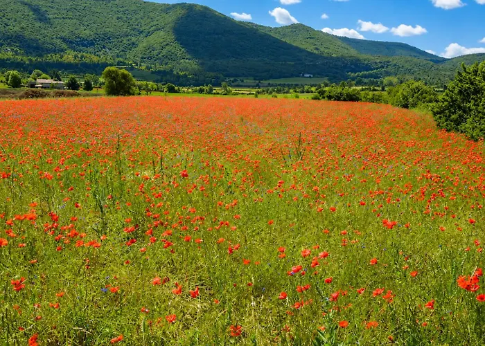 Gite Vue Sur Les Lavandes Mont Ventoux, Sault