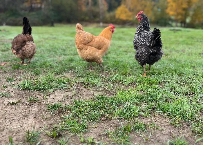 The Milk Barn Farm Stays