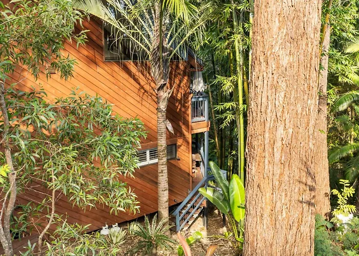 The Bamboo Base At Buderim