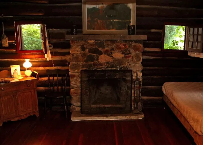 Rustic Cabin Overlooking The Beautiful Seneca Lake In New York