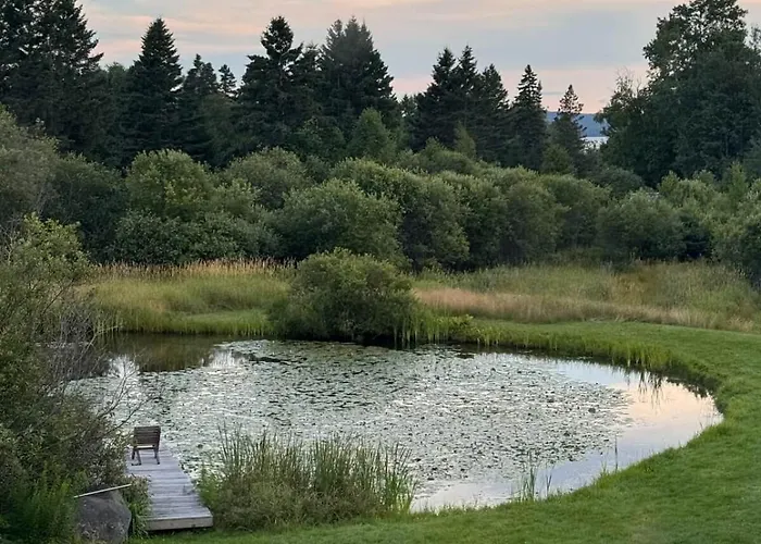 The Lupine | Cross Stone Cabins • Walk To Rangeley Lake