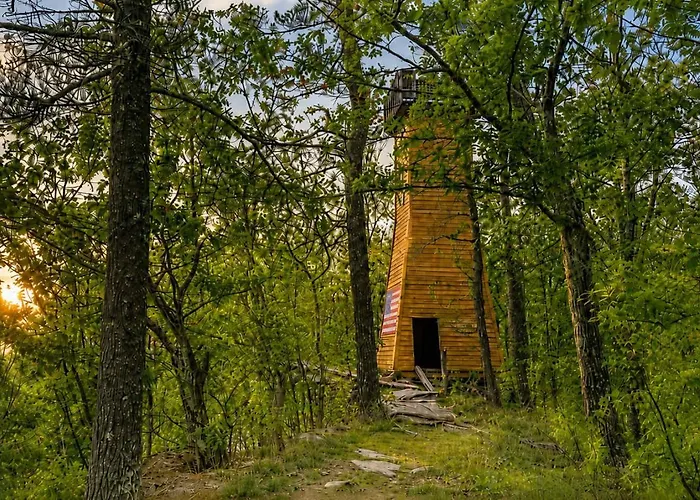 Real Treehouse Adventure Rustic Meets Luxury