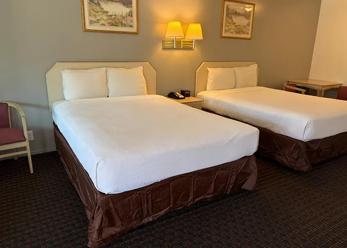Lark Motel Willits