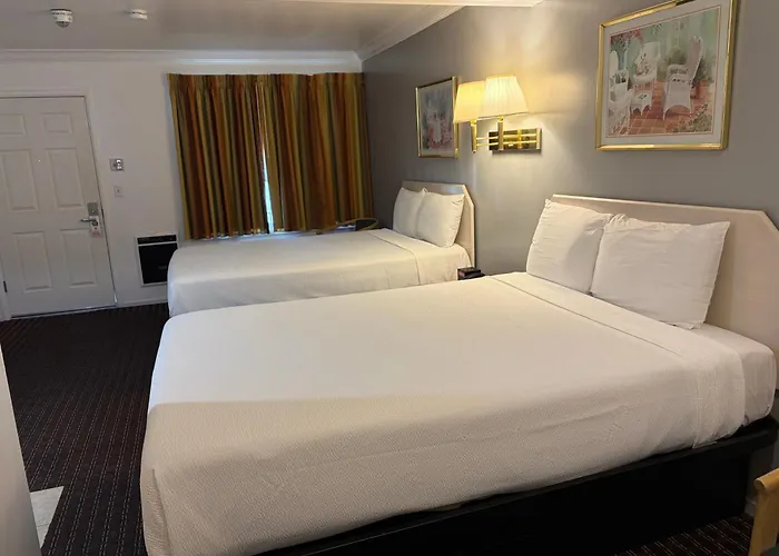 Lark Motel Willits