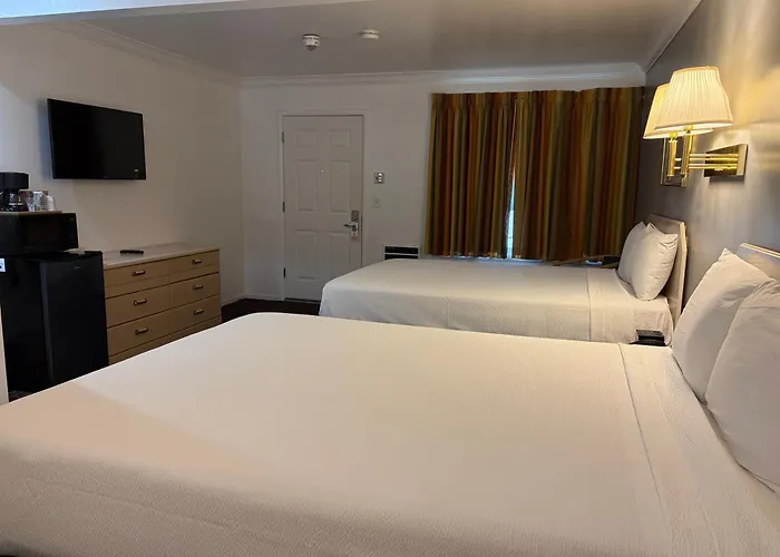 Lark Motel Willits