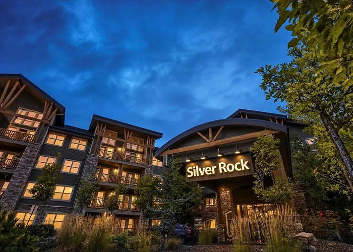 Silver Rock By Stayin