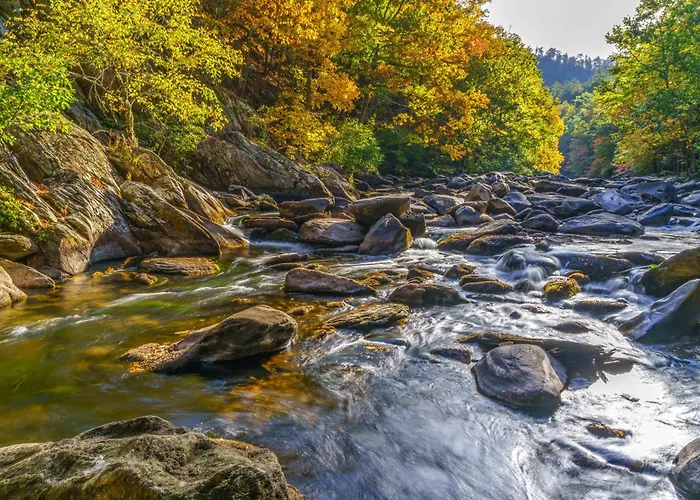 A Tennessee Joy