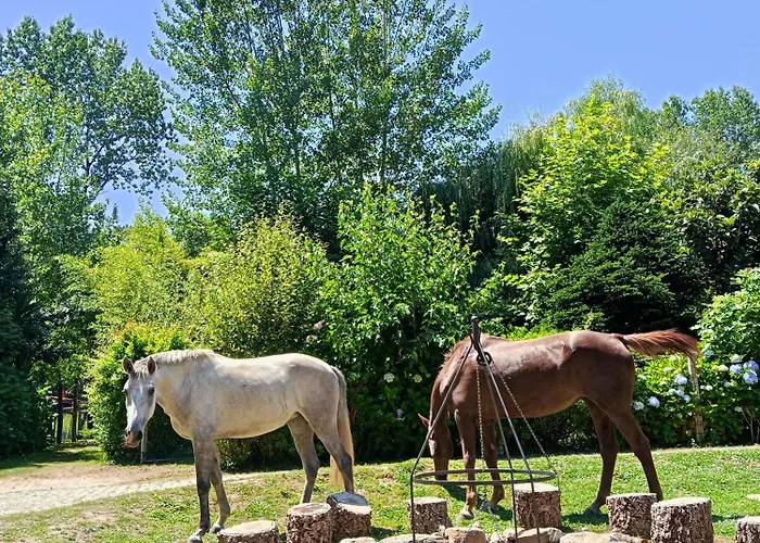Casa Do Moinho Rural Campo E Praia , 9 Pessoas, Animais Benvindos