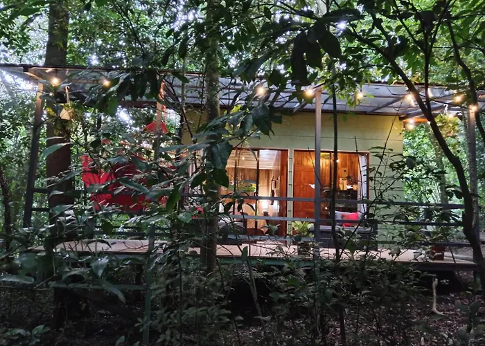Jungle Living Tree Houses
