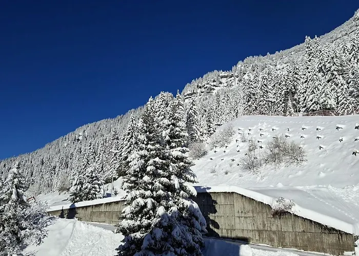 Residence De La Foret - Appartement Confortable - Proche Des Pistes - Casier A Ski Mae-7372