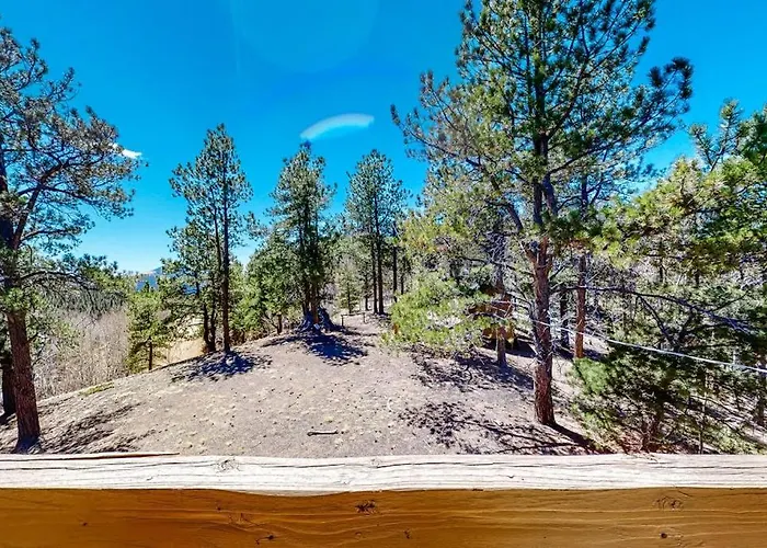 Timberline Vista
