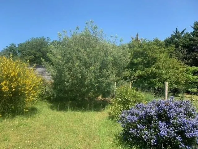 Residence 620-Pleneuf Val Andre - Belle Maison Neo-Bretonne Dans Un Quartier Residentiel Sur Les Hauteurs Du Val Andre Mae-7614