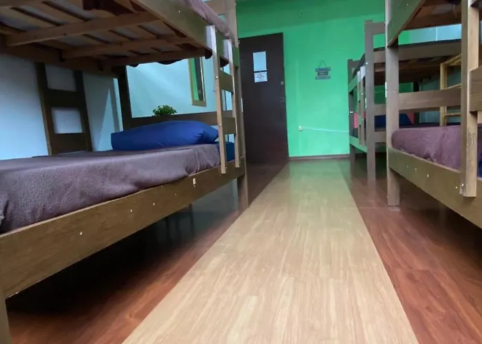 Hostel Salus