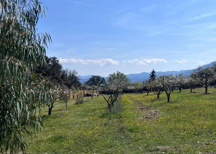 Maisonnette Cosy A La Campagne