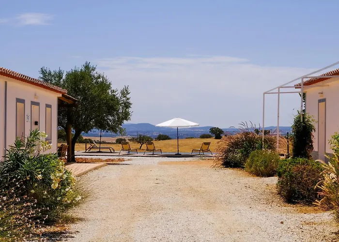 Vinhas Douradas