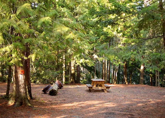Gold Panner Campground