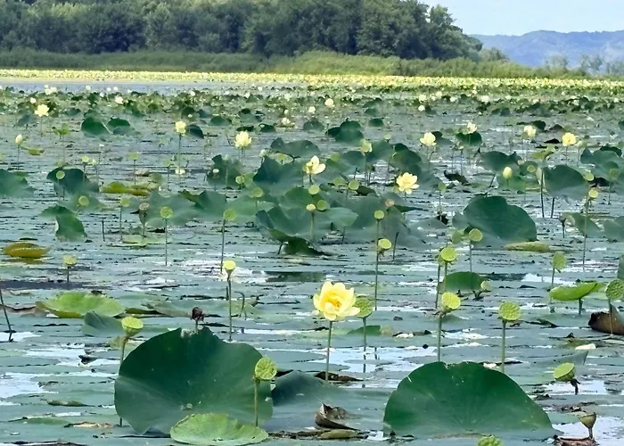 Driftless Destinations