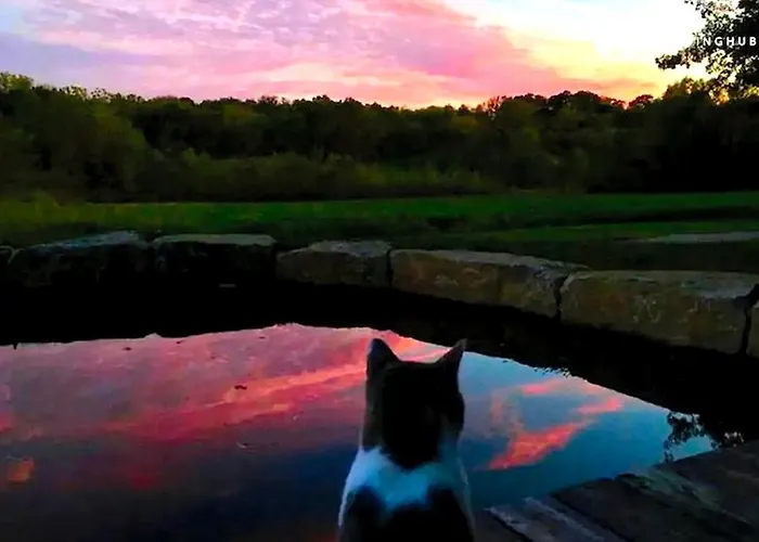 Romantic Getaway Surrounded By Gardens And Woodland Trails Near Overland Park, Kansas