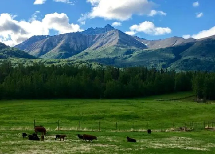 Rustic Vacation Rental With Scenic Views Of The Chugach Mountains In Palmer, Alaska
