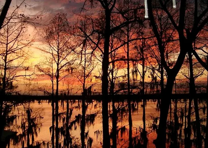Charming Cabin Rental In The Woods Along Lake Caddo In Texas