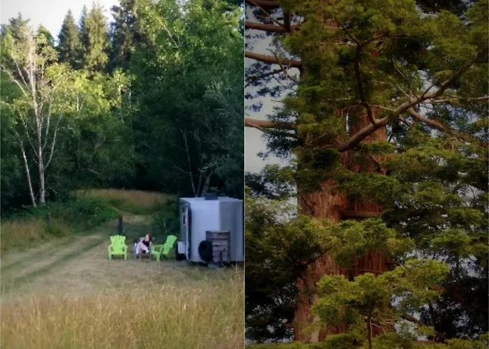 Cozy Campervan Rental On The Banks Of The Elk River In Eureka, California