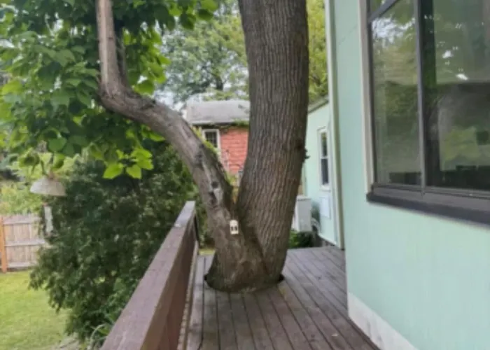 Single Family Home In Whiteplains New York
