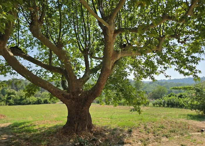 La Begude