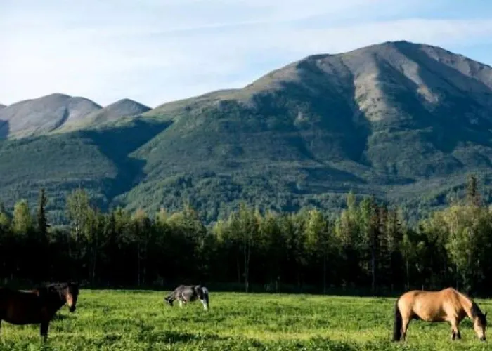 Rustic Vacation Rental With Scenic Views Of The Chugach Mountains In Palmer, Alaska