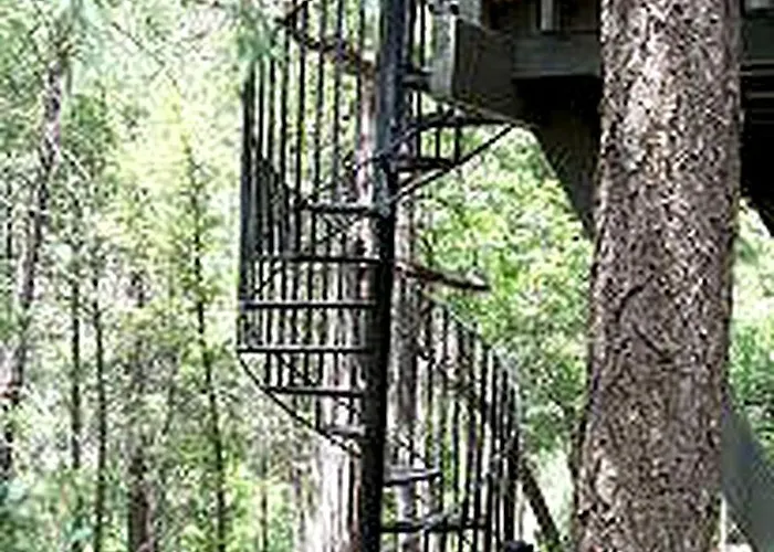 Peaceful Woodland Cottage Getaway Near Jemez Springs, New Mexico