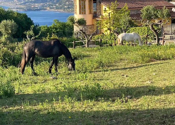 Casa Limone San Nicola Arcella