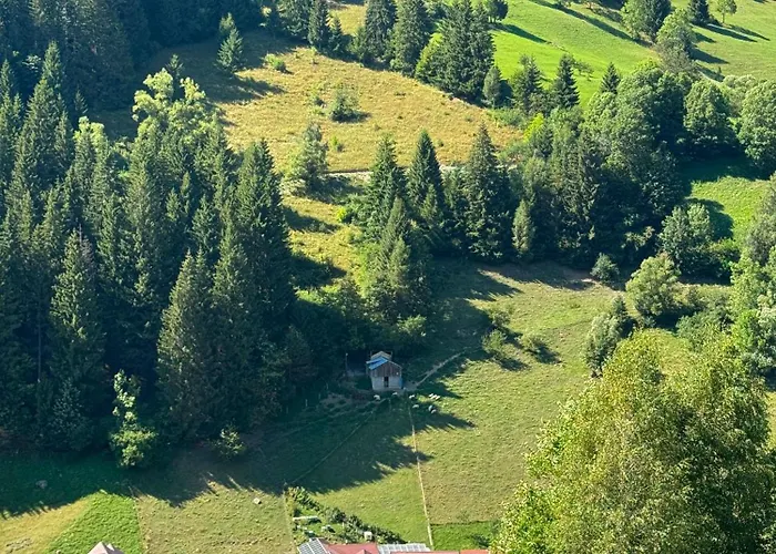 Pensiunea Puiu