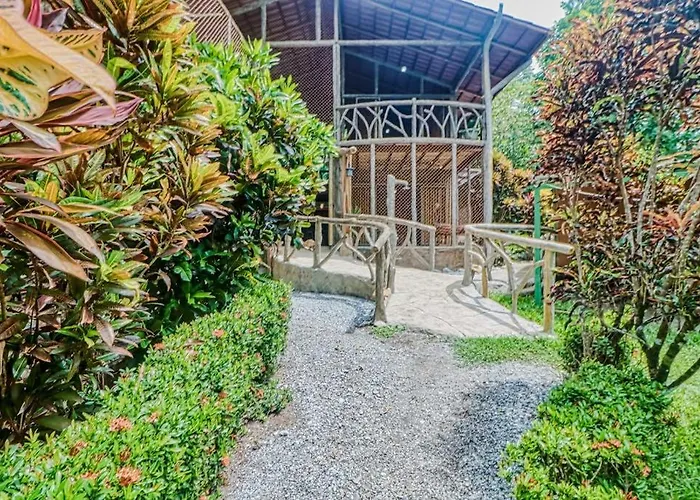 Casa Verde + Contiki
