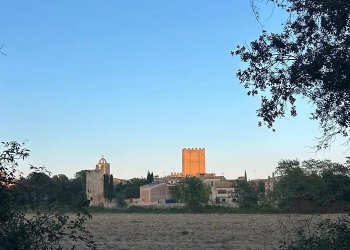 Turisme Rural Ca L,Anguila