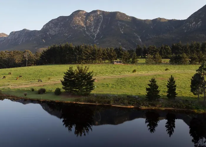 Hemel 'N Aarde Stud