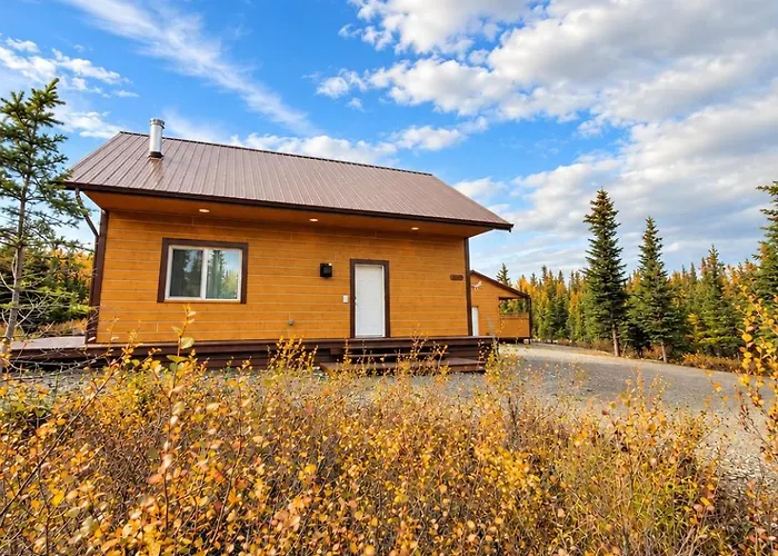 Denali Wild Stay - Bear Cabin With Hot Tub And Free Wifi, Private, Sleep 6
