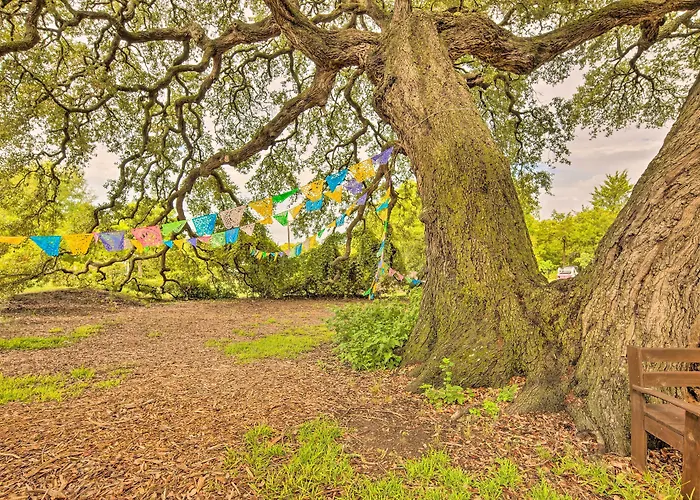 'The Gathering Place' Brenham Home On 6 Acres