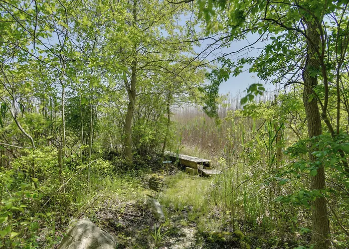 Mattapoisett Home On 7 Acres W/ Private Beach!