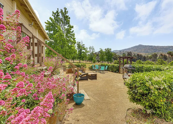 Escondido Vineyard Estate: Walk To Wineries!