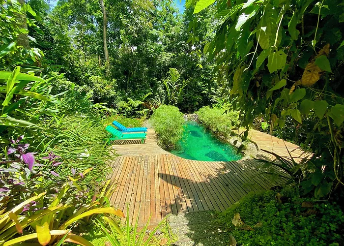 La Shamana - Ecological Concept In Jungle