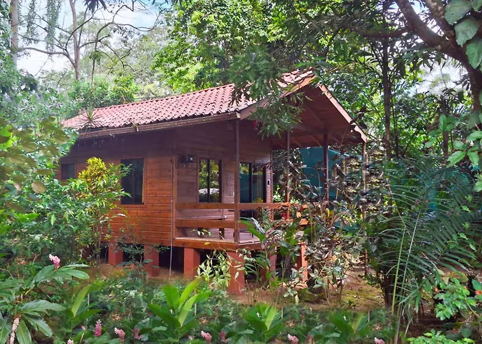 Cabinas Costa Tropicana