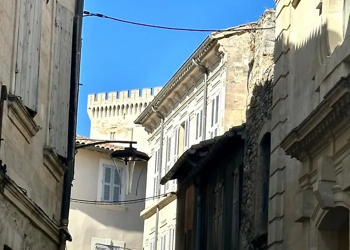 Gite Avignon Bougainvillier